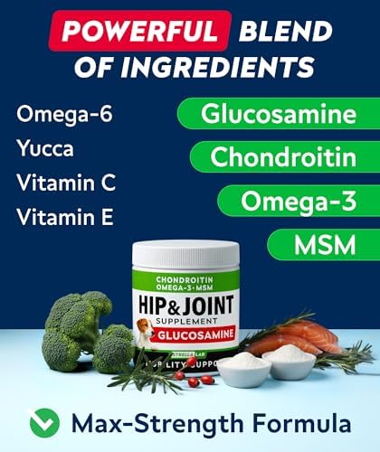 Glucosamine Treats for Dogs - Joint Supplement w/Omega-3 Fish Oil - Chondroitin, MSM - Advanced Mobility Chews - Joint Pain Relief - Hip & Joint Care - Bacon Flavor - 240 Ct - Made in USA