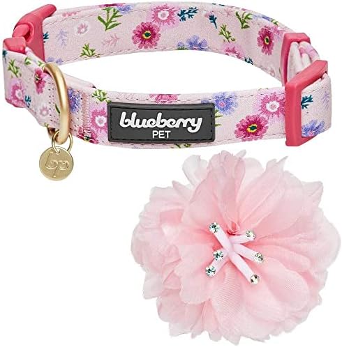 Blueberry Pet Floral Power Cosmos Designer Pink Adjustable Dog Collar with Detachable Pink Peony, Small, Neck 12"-16"