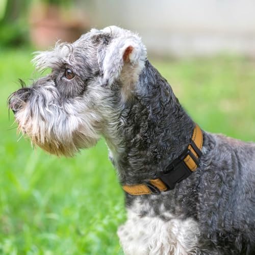 Joytale Reflective Dog Collar, Adjustable Neoprene Padded, Khaki M