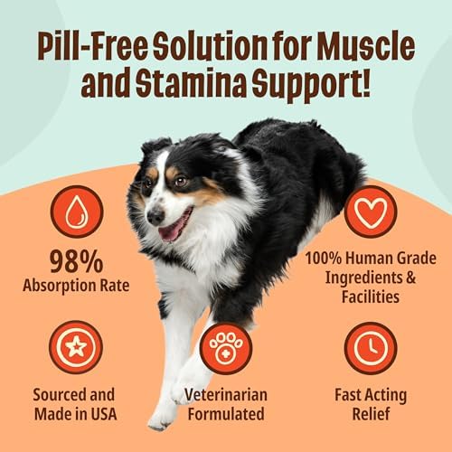 Licks Active Dog - Muscle Recovery & Energy Support for Active Dogs - Amino Acids, L-Carnitine, Glucosamine, Omega-3 Fish Oil & Vitamin B6 - Pill-Free Liquid Packets - Chicken Flavor - 15 Packets