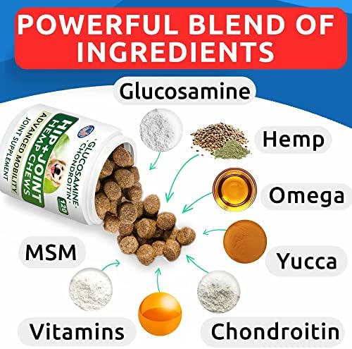 Hemp Oil Treats + Glucosamine + Allergy Relief Bundle - Hip & Joint Supplement + Anti-Itch & Hot Spots - Chondroitin, MSM + Omega 3 + Pumpkin + Enzymes - Immune Support - Made in USA - 240 Chews