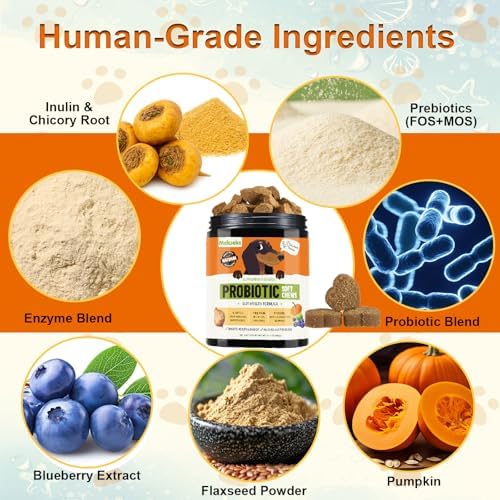 Dog Probiotic Soft Chews Support Gut Health, Diarrhea Gas Relief, 200 Chews | 6 Strains Probiotics, Immunity, Relieves Itchy Skin, Pumpkin, Blueberry, 6 Digestive Enzymes, 4 Prebiotics, Treats