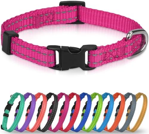 Joytale Feather-Light Puppy Collar for Extra Small Dogs, 3/8", Hotpink