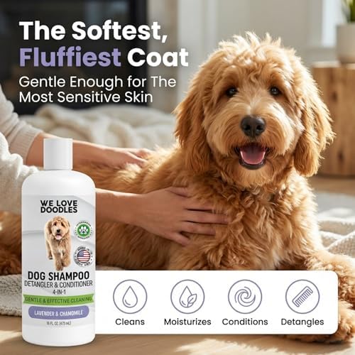 Dog Shampoo, Conditioner & Detangler, Hypoallergenic Tearless Lavender 16OZ | For Sensitive Itchy Skin, Best Shampoo For Smelly Dogs, Goldendoodle, Poodle & Doodle, Puppy Pet Wash Soap, USA Made, 4-in-1