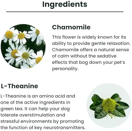 Lolahemp Calming Hemp Oil for Dogs with L-Theanine and Chamomile
