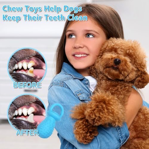 Latex Chew Dog Toys, Novelty Squeaky Pacifier Dog Toys, 5.2" Durable Pacifier Dog Chew Toys for Small and Medium Dogs(Blue,1Pcs)
