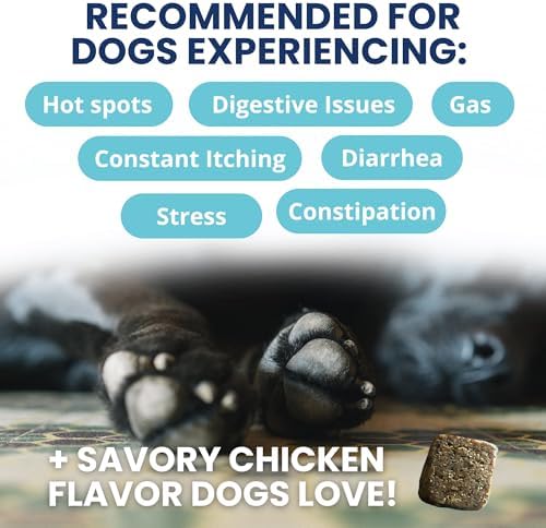 Under the Weather Probiotic Chews for Dogs | Daily Probiotics and Prebiotics for Digestive Health Gut | Balance and Immune Support | Vet Formulated Dog Digestive Supplement | Chicken Flavor | 60 Count