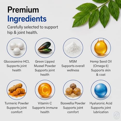 Hip & Joint Chews for Dogs – Glucosamine, Chondroitin, MSM & Green Lipped Mussel – Supports Mobility & Joint Health for Dogs – Natural Dog Joint Supplement – Chicken Flavor, 120 Soft Chews
