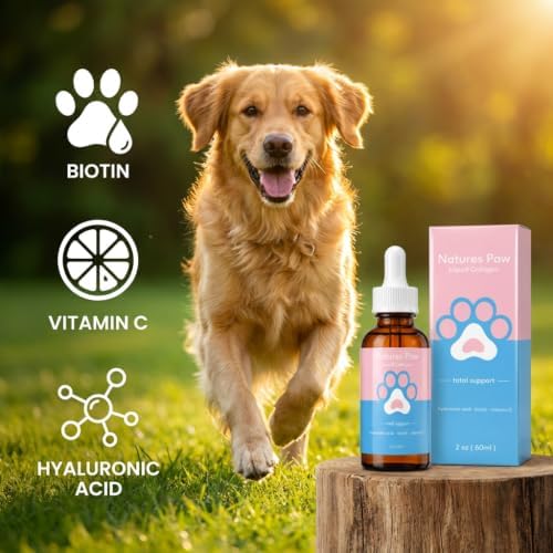 for Dogs (1PCS)