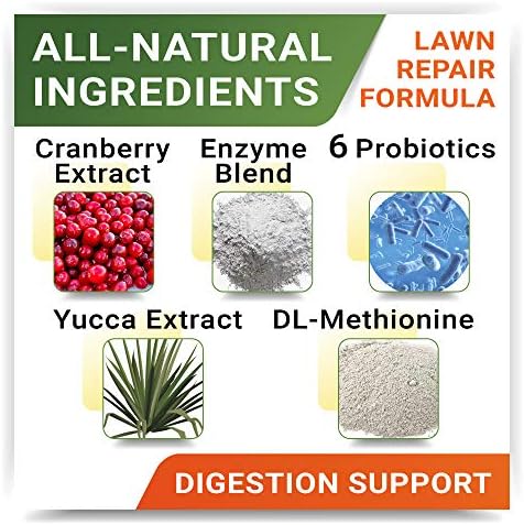 StrellaLab Grass Restore Treats for Dogs - Dog Pee Lawn Repair Chew Probiotics + Digestive Enzymes, Cranberry - Dog Urine Neutralizer for Grass Burn Spots - Health & Wellness Supplements for Dog