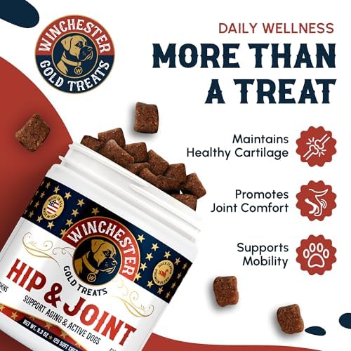Hip & Joint Dog Supplement: All-Natural 120 Count Soft Chew Treat with Glucosamine, Chondroitin, MSM, Turmeric, Collagen, Vitamins C & E; Perfect for Large & Small Dogs; Made in USA by Winchester Gold