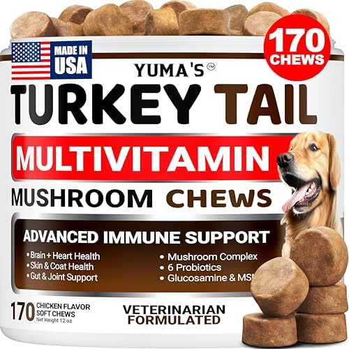Turkey Tail Mushroom for Dogs - 170 Count - Mushroom Chews for Dogs | Dog Supplement for Lipoma Lumps & Bumps - Immune Health, Digestive, Skin, Energy & Joint Support - Guard Buddy Multivitamin
