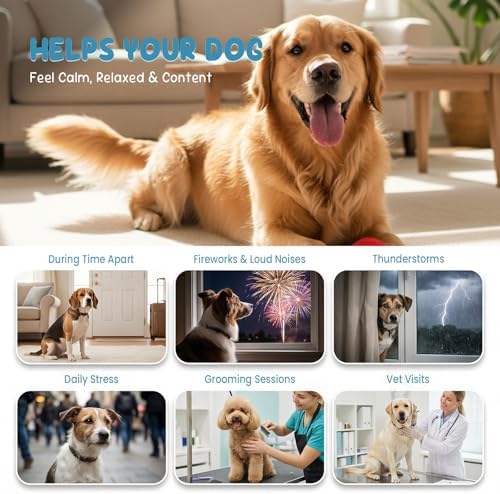 Calming Chews for Dog, Melatonin, 200-Pack, 200 Count