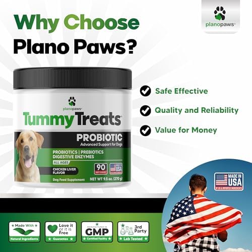 Probiotics for Dogs, 90 Soft Chews - Digestive Health Dog Probiotic 90ct
