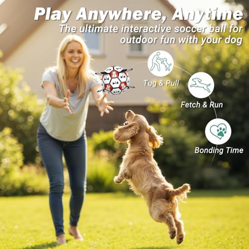 Dog Toy Balls, Dog Soccer Ball with Straps, Interactive World Cup Soccer Ball for Medium Dogs, Water Fetch Toys, Tug-of-War, Herding Ball Toys Outdoor, Dog Birthday Toy, Black (6 Inch)