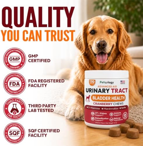 Dog UTI Treatment - 170 Cranberry Chews for Dogs - Urinary Tract Infection | Bladder & Kidney Health Multivitamin, Cranberry Supplement for Dogs with D-Mannose, Dog Vitamins and Supplements, Made in USA
