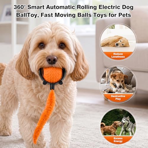 ZUAMEGUCat Toys for Indoor Cats - Interactive Rolling Ball | 3 Modes Motion Activated, Self-Play Cat Toy with Tail, Eco-Friendly Cat Exercise Ball for Active Indoor Fun