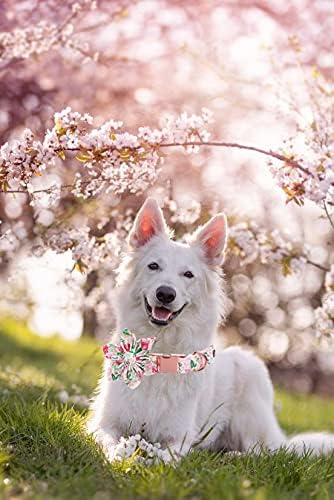 Lionet Paws Dog Collar with Flower, Soft and Comfortable, Adjustable Collar for Large Dogs Girl, Neck 16-24 inches