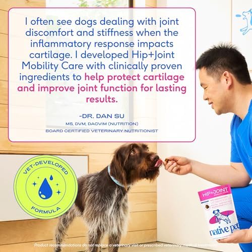 Native Pet Mobility Care - Hip & Joint Supplement for Dogs - UC-II Collagen, Egg Shell Membrane & Hyaluronic Acid - Dog Joint Supplement Chews Supports Cartilage, Mobility & Flexibility - 60 Chews