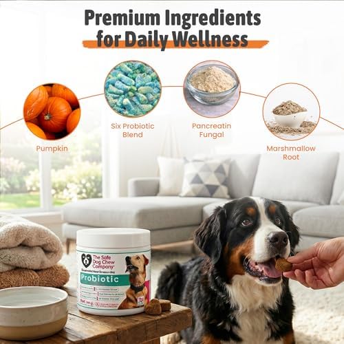The Safest Probiotic Soft Chews Chicken Flavor 120 Count