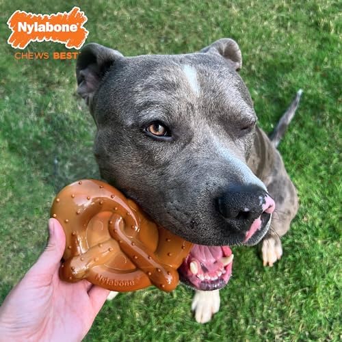 Nylabone Power Chew Pretzel Dog Chew Toy, X-Large | Bacon & peanut butter flavor, durable, long lasting, discourages destructive chewing, flavor throughout, for dogs 50+ lbs