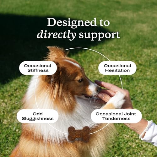 PetLab Co. – Mobility & Gut Health Bundle: Dog Probiotic for Gut Health, Healthy Yeast Production, & Seasonal Allergies 30 Count & Joint Supplement for Dogs Supporting Mobility & Occasional Stiffness