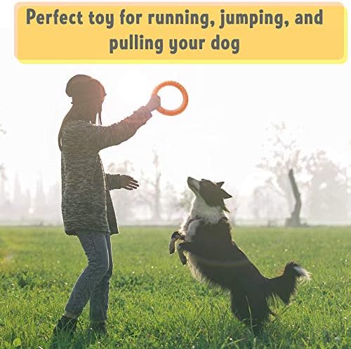 PetSpy Dog Ring Toy, Flying Ring, Floating Training & Fetch, EVA