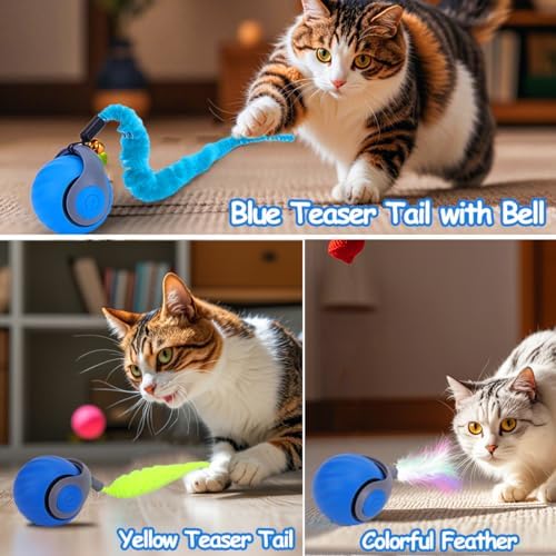 Mity rain Interactive Cat Toy Ball, Rechargeable Cat Toys for Indoor Cats | with Feather Tails for Kittens Chasing, Motion Activated Ball for Enrichment, Automatic Rolling Toys to Keep Them Busy Blue