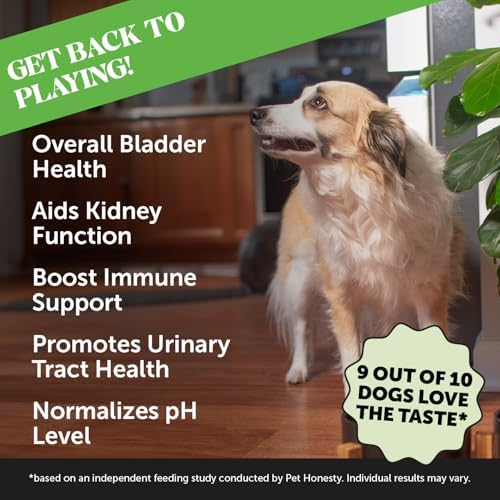 Pet Honesty Vet Recommended Cranberry Supplement for Dogs, 90 Ct, Chicken