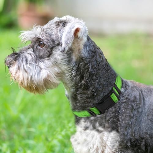 Joytale Reflective Dog Collar, Adjustable Neoprene Padded, Green S