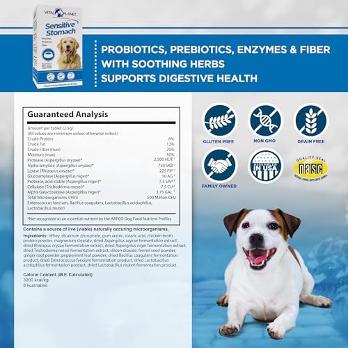 Vital Planet - Sensitive Stomach for Dogs with Enzymes, Probiotics and Fiber, Natural Digestive Support for Upset Stomach with Fennel, and Peppermint, 60 Chicken Flavored Chewable Tablets