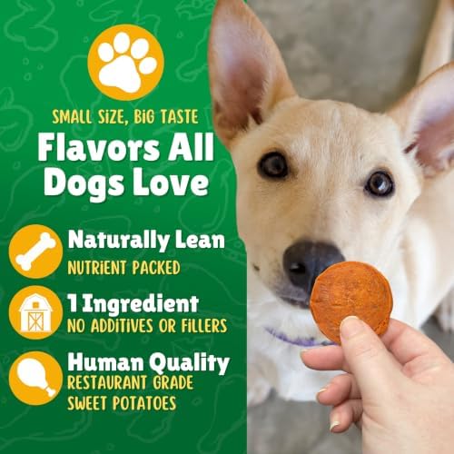 Lucky Premium Treats Sweet Potato Mini Chips Dog Treats – 100% Single Ingredient Sweet Potato Treats for Dogs, Made in USA, Crunchy Natural Dog Snacks, Bite-Sized Training Rewards for Dogs - 3 oz.