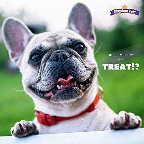 Filler Free Chicken Jerky & Sweet Potato Twists, Premium Treats for Dogs, 48-ounce bag