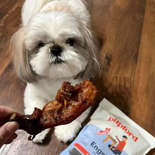 Pupford Beef Tendons for Dogs & Puppies, Teething Chew (Turbo, 5 Count)