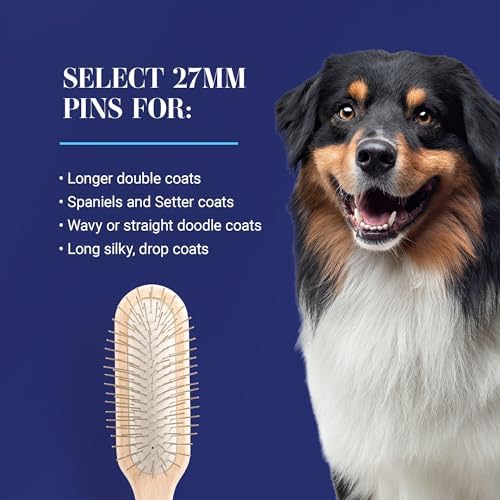 Chris Christensen 27 mm Oblong Pin Dog Brush, Stainless Steel, Brown