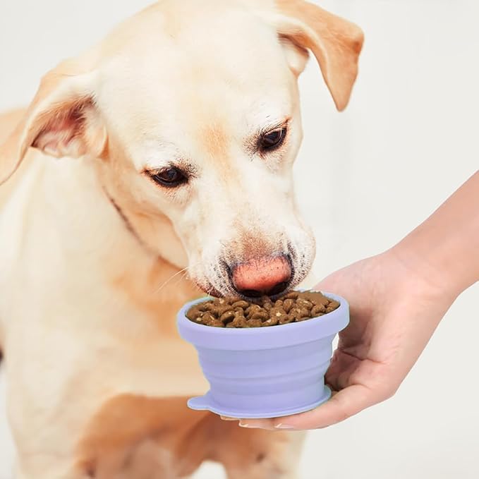 LINMENGSHU 3-in-1 Portable Dog Travel Bowl, Purple