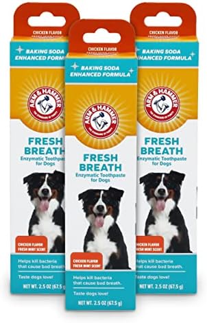 Arm & Hammer Fresh Breath Enzymatic Dog Toothpaste, Chicken, 2.5 Oz, 3-Pk | Enzymatic baking soda formula, poultry flavor, daily use, puppies and adult dogs
