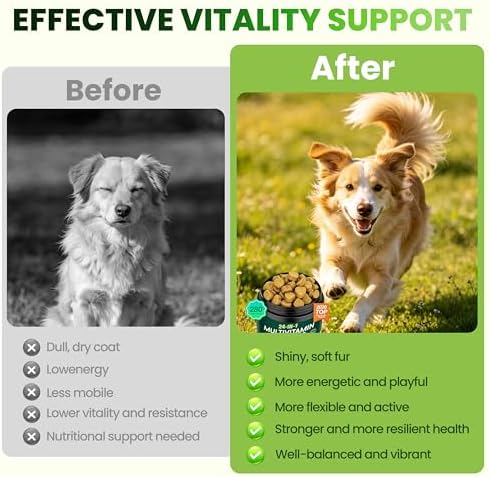 24-in-1 Dog Vitamins and Supplements, Dog Multivitamin Chewable for All Dog | Chondroitin Probiotics Omega-3 Glucosamine for Skin Coat Hip Joint Heart Gut Liver Brain Eye Immune Health,140 Chews Chicken