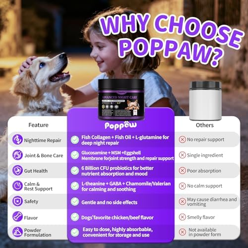 Dog Multivitamin Powder – Calm, Repair, Joint & Gut, Beef, 75 Scoops | Dog Vitamins and Supplements for Nighttime Repair for Homemade Food with Collagen, Glucosamine, GABA, Probiotics