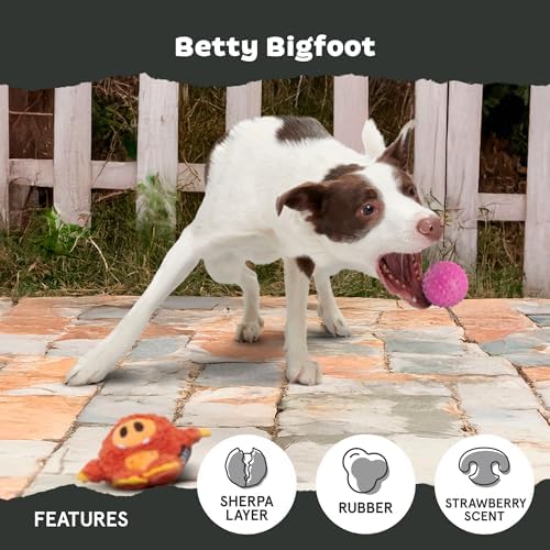 BarkBox Betty Bigfoot Dog Toy for Medium to Large Aggressive Chewers, Durable with Hidden Surprise Toy Inside for Extended Playtime | for to Aggressive Chewers, Durable with Hidden Surprise Toy Inside for Extended Playtime
