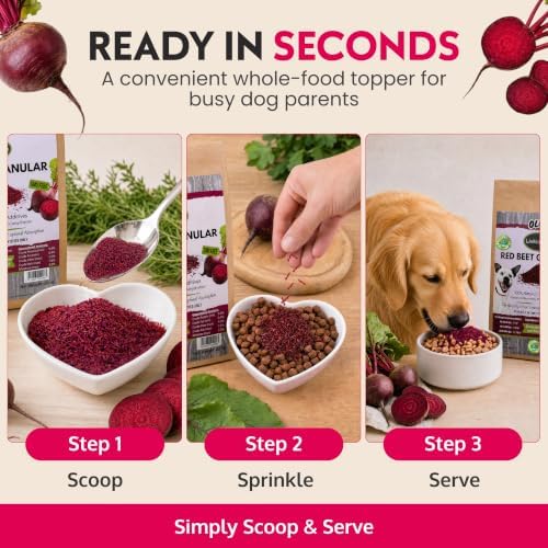 Olewo Red Beets Granular Dog Food Topper – Skin & Coat Support, 22 oz