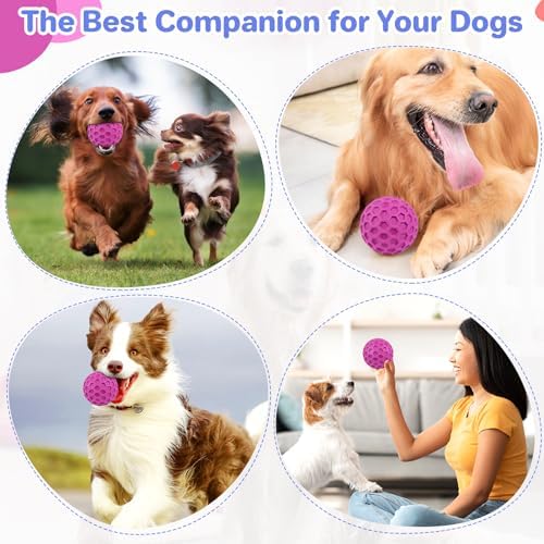 DISSKNIC Indestructible Squeaky Dog Balls, Dog Toys for Aggressive Chewers Large Breed for Relieving Anxiety, Tough Dog Chew Toys Balls for Aggressive Chewers, Outdoor Squeaky Cognitive Dog Toys