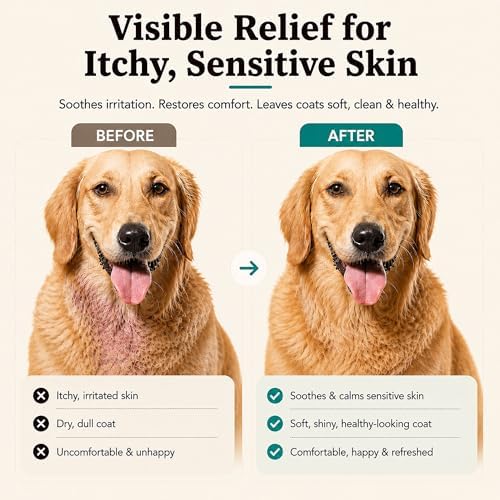 Natural Dog Company Sensitive Skin Dog Shampoo Gallon – Hypoallergenic Oatmeal Shampoo for Dogs, Professional Groomer & Multi-Pet Dog Wash with Aloe Vera & Manuka Honey, Odor Control, 128 oz