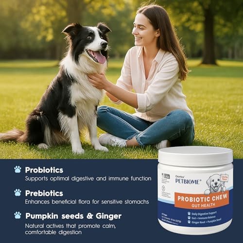 Oraticx PetBiome Probiotic Chew for Dogs - Supports Daily Digestive Health, Gut Balance, and Immune System - with Ginger Root, and Pumpkin Seed - Chicken Flavor, 90 Soft Chews