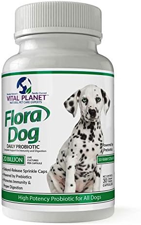 Vital Planet - Flora Dog Probiotic Capsules Supplement with 20 Billion Cultures and 10 Strains, High Potency Immune and Digestive Support Probiotics for Dogs, 30 Delayed Release Capsules