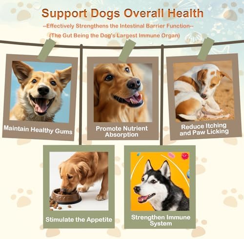 Dog Probiotic Soft Chews Support Gut Health, Diarrhea Gas Relief, 200 Chews | 6 Strains Probiotics, Immunity, Relieves Itchy Skin, Pumpkin, Blueberry, 6 Digestive Enzymes, 4 Prebiotics, Treats