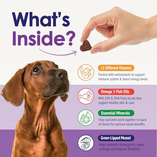 Dog Multivitamin Chewable - 22 in 1 Dog Vitamins and Supplements with Green Lipped Mussel & Omega 3 for Joints, Skin & Coat, Immune System - Senior & Puppy Multivitamin for Dogs - 60 Beef Chews