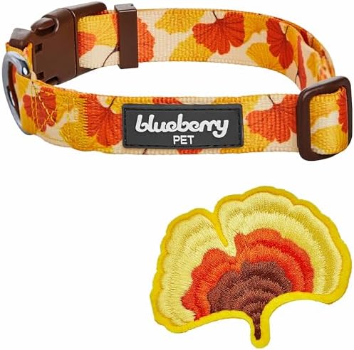 Blueberry Pet Thanksgiving Fall Ginkgo Biloba Leaf Adjustable Dog Collar with Detachable Accessory, Large, Neck 18"-26"