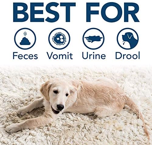 Simple Solution Pet Stain & Odor Remover, Enzyme Stain Cleaner, 32oz