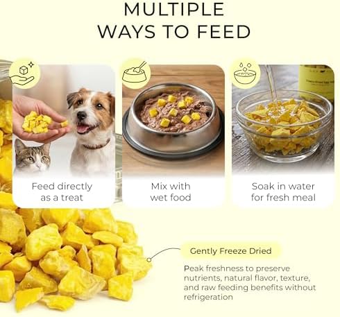 BLACK FOX Freeze-Dried Egg Yolk Treats for Dogs & Cats - 4oz